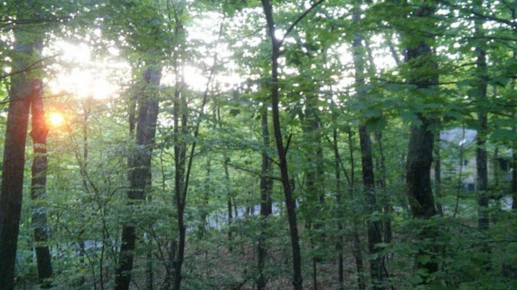 Wintergreen Mount Torry Furnace Dış mekan fotoğraf