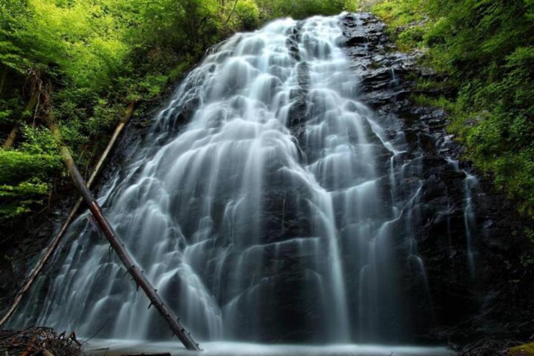 Wintergreen Mount Torry Furnace Dış mekan fotoğraf